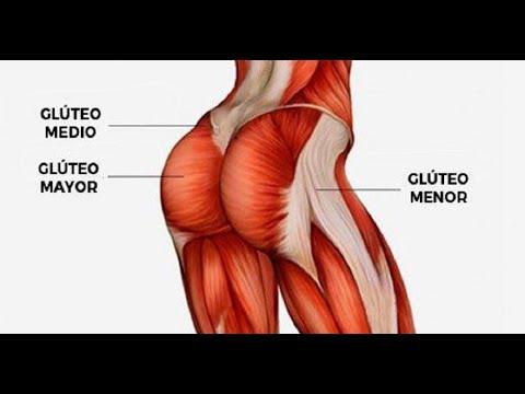 Como construir os músculos dos glúteos